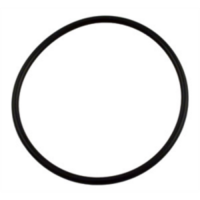 Pentair IntelliFlo Lid O-Ring