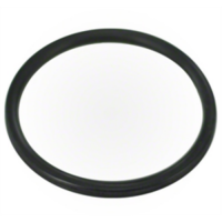 Pentair SuperFlo & SuperMax Diffuser Seal