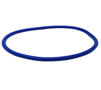 Pentair Lid O-Ring for IntelliFlo3 Pump