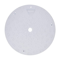 Carvin (Jacuzzi) PMT Skimmer Lid