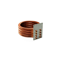 Pentair Tube Sheet Coil Assembly 250K HD (After Jan. 2009)