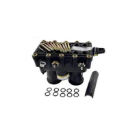 Pentair Manifold Kit 300/333K