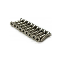 Stainless Steel Screw Kit For Standard Skimmer (Wide Mouth,