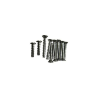Hayward ProSeries Niche Screw Set(8) - (Requires 2 Packs)