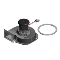 Hayward H-Series Combustion Blower