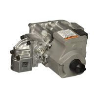 Hayward H-Series Natural Gas Valve