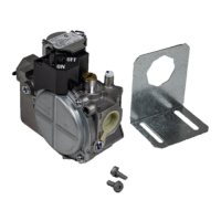 Hayward H100 Gas Valve