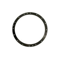 Hayward ProSeries Niche Gasket Set (2 Pack)