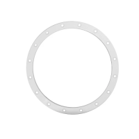 Hayward ProSeries Niche Flange