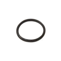 Hayward Super II Union Gasket