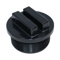 Hayward 2" All Purpose Plug w/O-Ring - Black