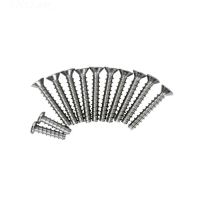 Hayward PVC Niche Screw Set