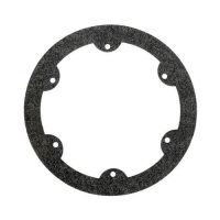 Hayward ColorLogic & AstroLite II 6" Niche Gasket