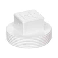 Hayward Skimmer 2" Pipe Plug