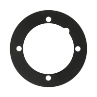 Hayward Return Gasket -Notched