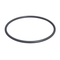 Hayward Ultra Pro Lid O-Ring