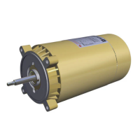 Hayward Replacement 1.5 HP Pump Motor
