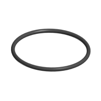 Hayward MaxFlo II/TurboFlo II Strainer Cover O-Ring