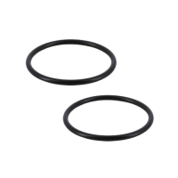 Hayward PowerFlo II Union Adpater O-Ring