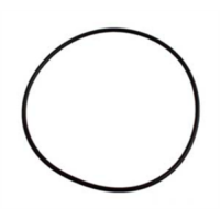 Pentair Seal Plate O-Ring