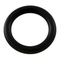 Pentair Plug O-Ring