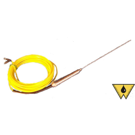 I2000 PROBE & 30' CABLE 5.5 IN. EXTENDED PROBE