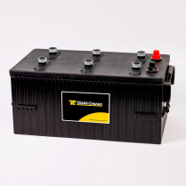 8D-TCHD-1400C-TM   Cranking Battery (Wet) Group 8D 12V