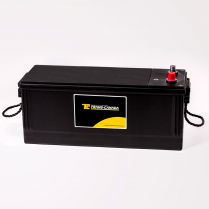 64020-TCHD-TM &nbsp;Cranking Battery (Wet) 12V