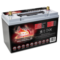 FT1100-31   Cranking Battery (AGM) Group 31 Posts 12V