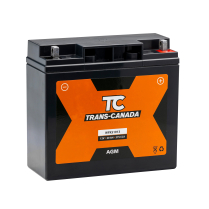 WPX51913   Motorsports Battery AGM 12V 19Ah 275CCA