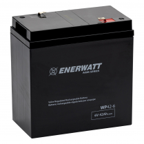 WP42-6   AGM Battery 6V 42Ah