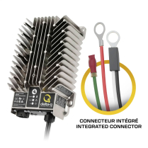 961-4800 Delta-Q Industrial Battery Charger PB/LI 48V 15A