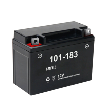 101-183   AGM Battery 12V 6.5/7A for EZV Generators