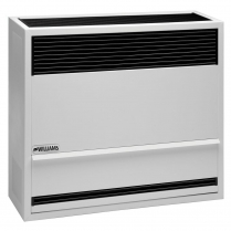 3003821   Williams Direct-Vent Propane Heater 30000 BTU