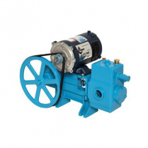 P521-0705   Piston Pump 12V 26A 3.85GPM