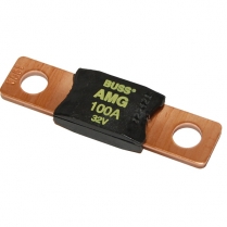 BS5101   MEGA / AMG Fuse - 100A 32V