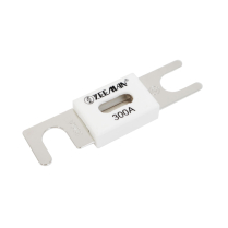 CIP142300000   Fuse ANL 300A 80V