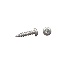 Robertson square recessed screws