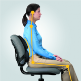 Fellowes&reg; Professional Series Back Support with Microban&reg;Protection Black