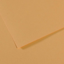 Canson Mi-Teintes Drawing Paper 19-1/2" x 25-1/2" 340 Oyster