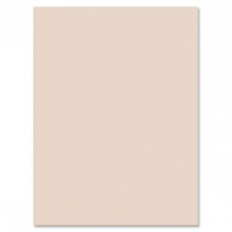 Manila Tag 9" x 12" 300M 100/pkg