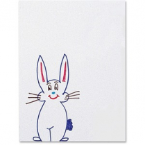 White Tag 9" x 12" 300M 100/pkg
