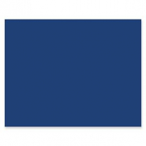 Pacon Railroad Bristol Board 4-ply 22 x 28 Dark Blue
