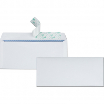 Quality Park #10 Redi-Strip Security Envelopes 30/box