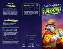 FPW Adult Brochure 100/pkg