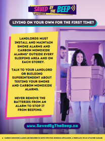 TYSAD Poster, Living Alone (English, 25/pack)