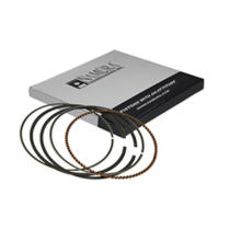 PISTON RING LT230/250 .020