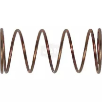 DRIVE SPRING