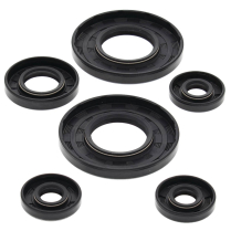 ENGINE OIL SEAL KIT