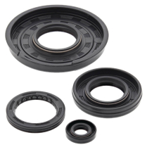 ENGINE OIL SEAL KIT